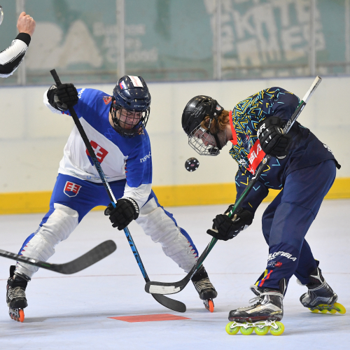 WSG 2022 - Inline Hockey - November 3rd