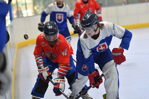 WSG 2022 - Inline Hockey - November 4th